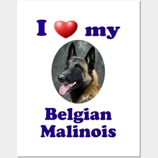 I Love My Belgian Malinois Posters and Art